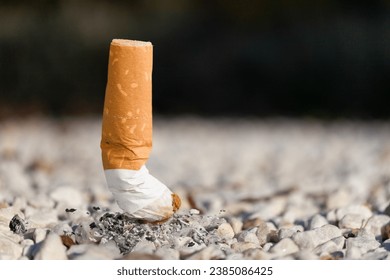 Cigarette butts lying on road asphalt. Trash - Powered by Shutterstock