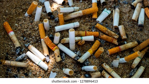 Picture Used Cigarette Butts Dump Stock Photo 1662531781 | Shutterstock