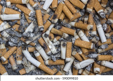 A lot of Cigarette butts. smoke dangerously for healthy .reason of lung cancer.