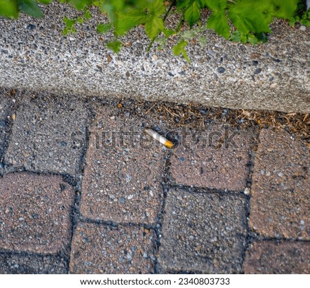 cigarette butts are the symbol of incivility par excellence. only a rude person can throw something that is hard to decompose onto the ground, polluting the surrounding environment