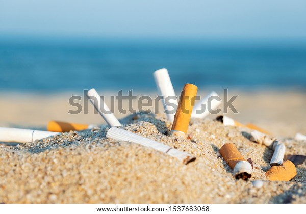 Cigarette butts in\
yellow sand on sea beach on coast against background of blue sky\
and sea. Problem of humanity. Cigarette smoking, bad habit.\
Nicotine addiction.\
Garbage