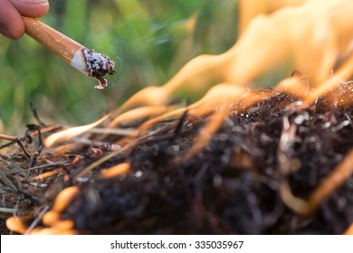 Cigarette Causing A Dangerous Fire On The Forest