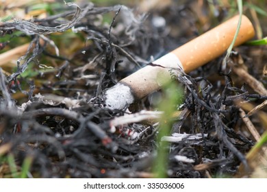 Cigarette Causing A Dangerous Fire On The Forest