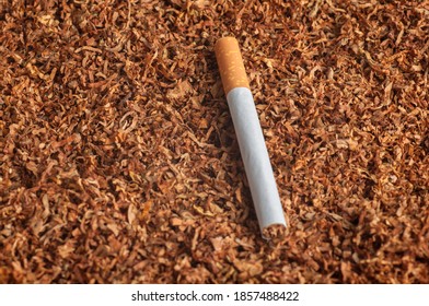 Cigarette Lies On Tobacco Leaves Top View