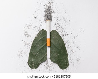 Cigarette Smoker's Lungs Isolated On White Background. Stop Smoking, World No Tobacco Day. Smoking Is Harmful To Human Organs. Resulting In Organ Damage.