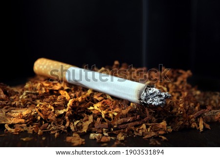 Cigarette. Cigarette and tobacco leaves on black close-up. Selective focus. Bad habits