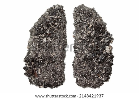 Cigarettes ash in lungs shape isolated white background