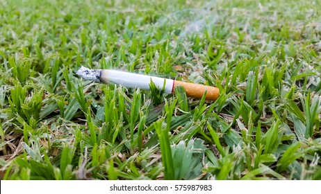 Cigarrete On Grass