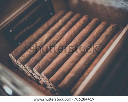 Cigars in the humidor