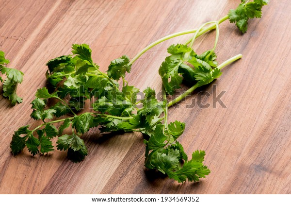Cilantro. Cooking ingredients from a farmers\
markets, Fresh Fruits and vegetables. Classic ingredients and\
garnishes used in restaurant\
cooking.