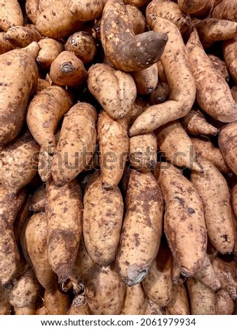 Cilembu sweet potato is a sweet potato cultivar which is a local breed from Cilembu Village, Sumedang, West Java, Indonesia.  This sweet potato is popular among consumers since the 1990s