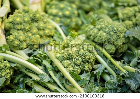 Cime di rapa, turnip greens, rapini or broccoli rabe in a street food market, green cruciferous vegetable, veggies, mediterranean cuisine, Puglia, Italy Foto stock © 
