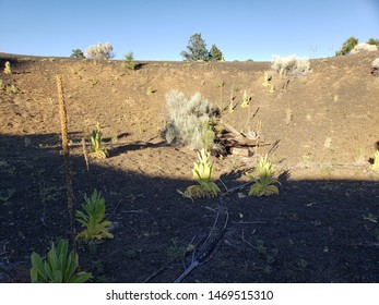 Cinder Lake Crater Field- Where The Apollo Astronauts Trained