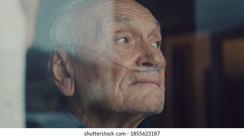 Cinematic Close Up Shot Of An Elderly Thoughtful Man Wearing Oxygen Tube Is Looking Through A Window In The Morning. Concept Of Healthcare, Life, Pensioner, Grandparents, Retirement, Boarding House.