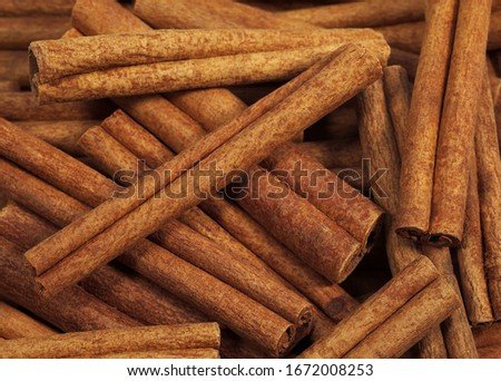 Cinnamon Bark, cinnamomum zeylanicum     ingredient 