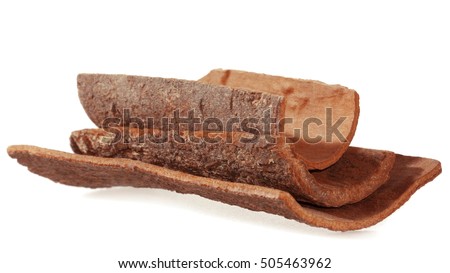 Cinnamon bark. Natural Dalchini. Isolated from white background. Soft focus.