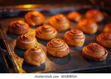 Cinnamon Rolls Are Baked In The Oven