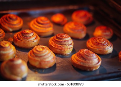 Cinnamon Rolls Are Baked In The Oven