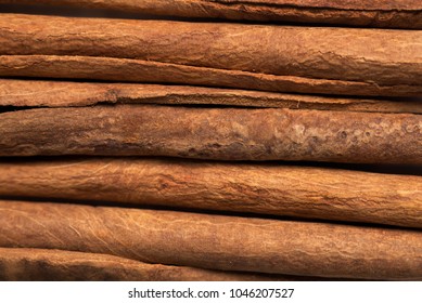 Cinnamon, Tree Bark. Close-up.