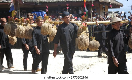 Ciptagelar, Indonesia - August 8 2019 : Asian Man In Black Clothes And Head Band Carries Bundles Of Dried Rice With Bamboo Yoke In Seren Taun Ceremony 