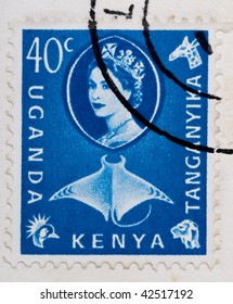 CIRCA 1960: A Stamp Printed In East Africa From A First Day Cover Of An Animal And Plant Series  Showing An Image Of A Manta Ray, Circa 1960.