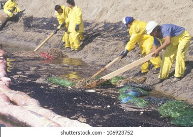 CIRCA 1990 - A Team Of Environmentalists Clean Up An Oil Spill In Huntington Beach, California