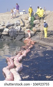 CIRCA 1990 - A Team Of Environmentalists Clean Up An Oil Spill In Huntington Beach, California