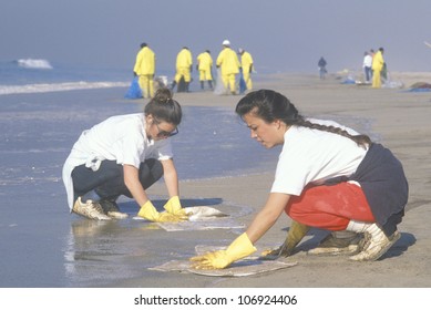 CIRCA 1990 - Two Women Participating In An Environmental Clean Up In Huntington Beach, California