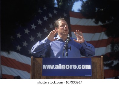 CIRCA 2000 - Vice President Al Gore Campaigns For The Democratic Presidential Nomination At Lakewood Park In Sunnyvale, California