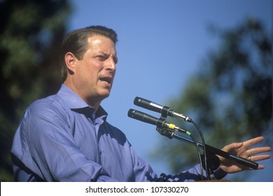 CIRCA 2000 - Vice President Al Gore Campaigns For The Democratic Presidential Nomination At Lakewood Park In Sunnyvale, California