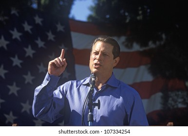 CIRCA 2000 - Vice President Al Gore Campaigns For The Democratic Presidential Nomination At Lakewood Park In Sunnyvale, California