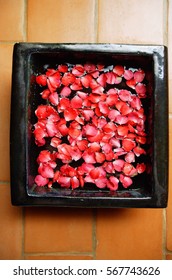 CIRCA 2006: Rose Petals In A Bowl, High Angle View