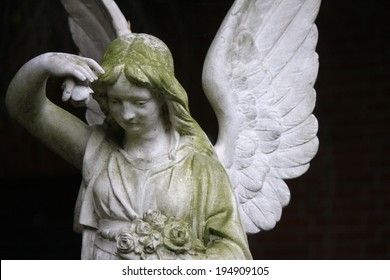 Angel Bust Female