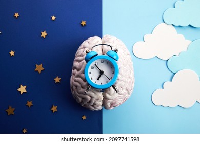 The circadian rhythms are controlled by circadian clocks or biological clock - Shutterstock ID 2097741598