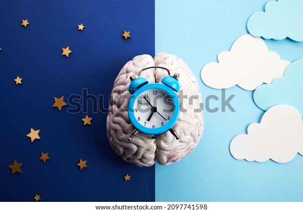 The circadian rhythms are controlled by circadian\
clocks or biological clock