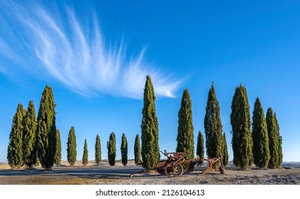 A Circle Of Cypresses With A Vintage Plow And A Streaky Cloud 