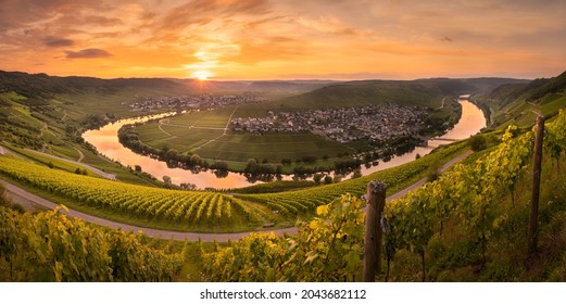 Circle of Light - Famous Moselle Loop at Trittenheim, Germany