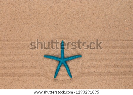 Similar – Image, Stock Photo Toy shovel with starfish on a beach