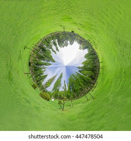 7,477 Forest 360 Images, Stock Photos & Vectors | Shutterstock