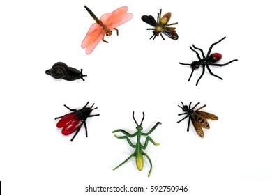 minibeast clipart pictures free