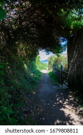 circle shaped path through the vegetation