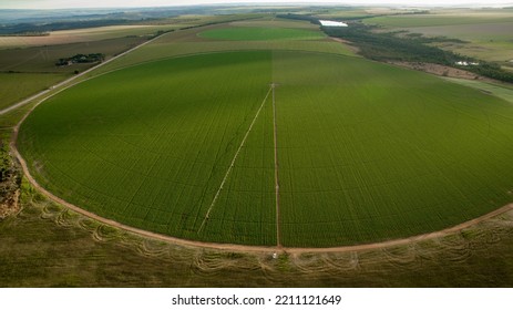 Circular area of ​​the irrigator pivot seen from above, Brazil
 - Powered by Shutterstock