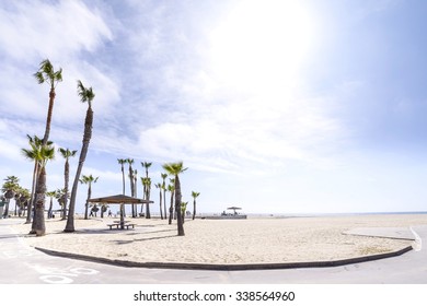 Circular Bicycle Path, Venice Beach, California