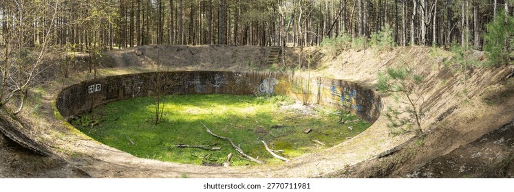 A circular depression surrounded by trees features vibrant graffiti on its walls. Green moss covers the ground, while sunlight casts shadows, enhancing the texture of the scene.