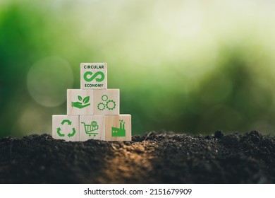 Circular economy concept on a wood block, recycle, environment, reuse, manufacturing, waste, consumer, resource for Sustainable development. - Shutterstock ID 2151679909