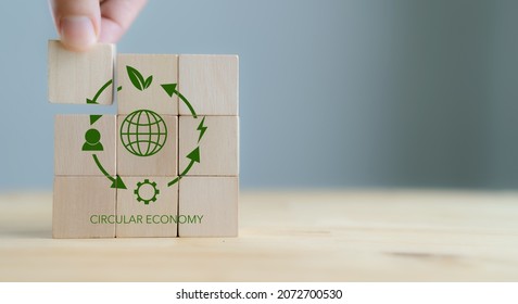 Circular economy concept, recycle, environment, reuse, manufacturing, waste, consumer, resource. 3rd.Sustainable development. Hand put wooden cubes; the symbols of circular economy on grey background.