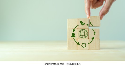 Circular economy concept, recycle, environment, reuse, manufacturing, waste, consumer, resources. LCA Life cycle assessment. Sustainability Wooden cubes; symbol of circular economy on grey background.