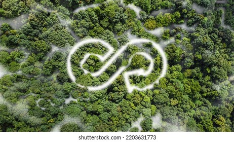 circular economy icon in cloud shape The concept of eternal circular economy Infinite and unlimited for future growth Lush forest, 3D rendering