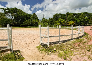 A Circular Fence To Tame Horses In A Stud Farm