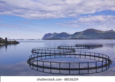 Circular Fish Cage At Sea Gulf - Sea Aquaculture In Northern Norway